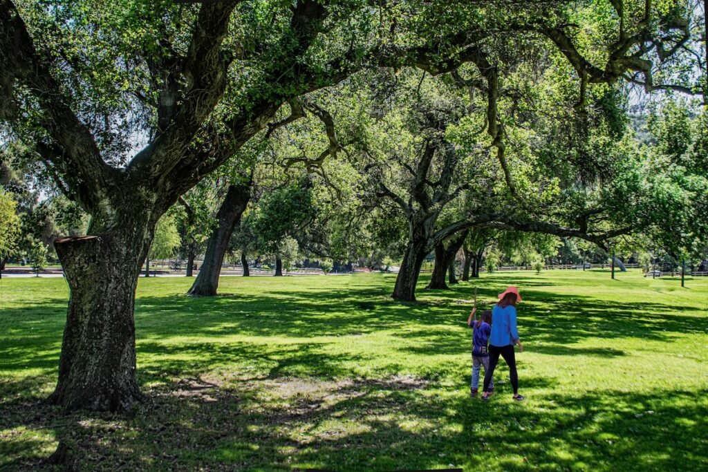 Branching Out: Building Health and Equity Through Community Forestry